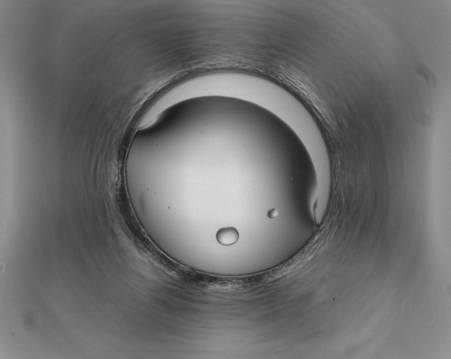 X0000112110164200909011153