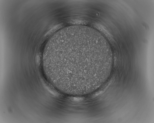 X0000112110165200909011153