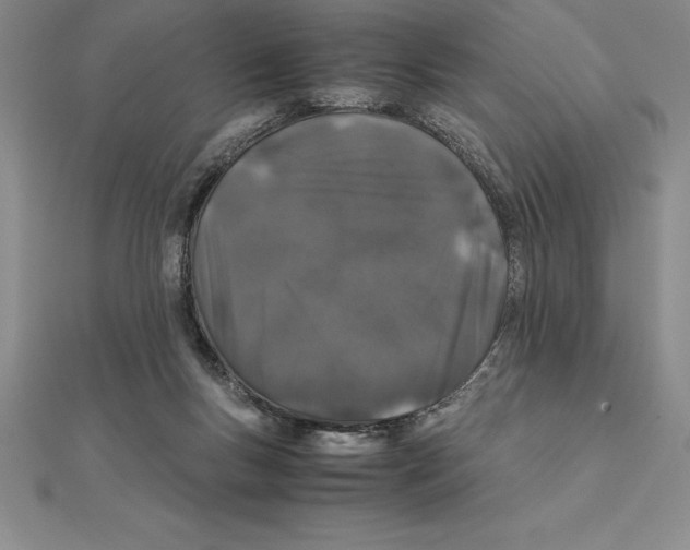 X0000112110167200909011153