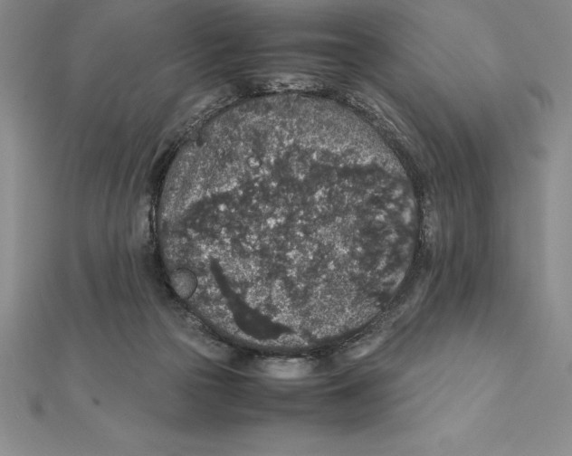 X0000112110169200909011153