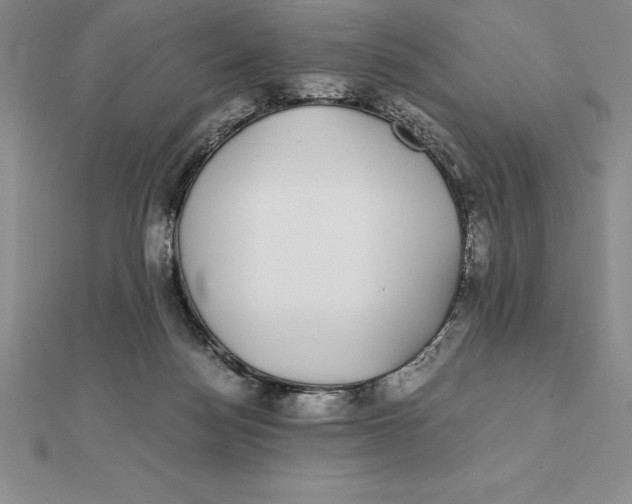 X0000112110172200909011153