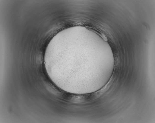 X0000112110174200909011153
