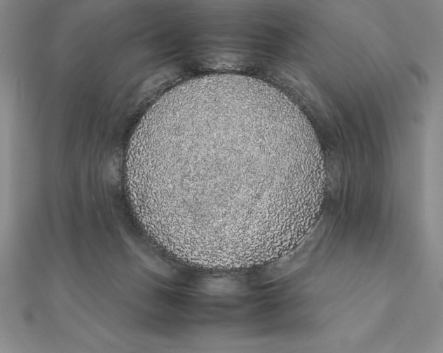 X0000112110175200909011153