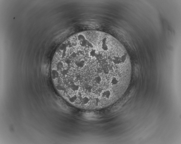 X0000112110177200909011153