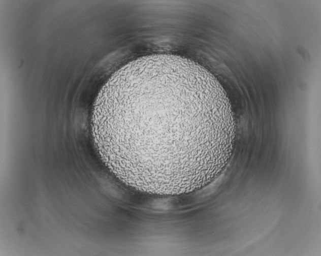 X0000112110178200909011153