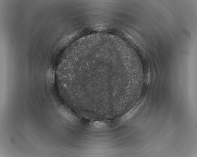 X0000112110180200909011153