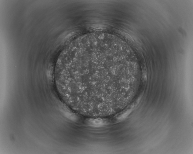 X0000112110181200909011153