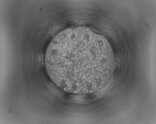 X0000112110182200909011153