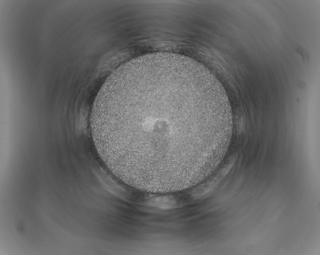 X0000112110185200909011153