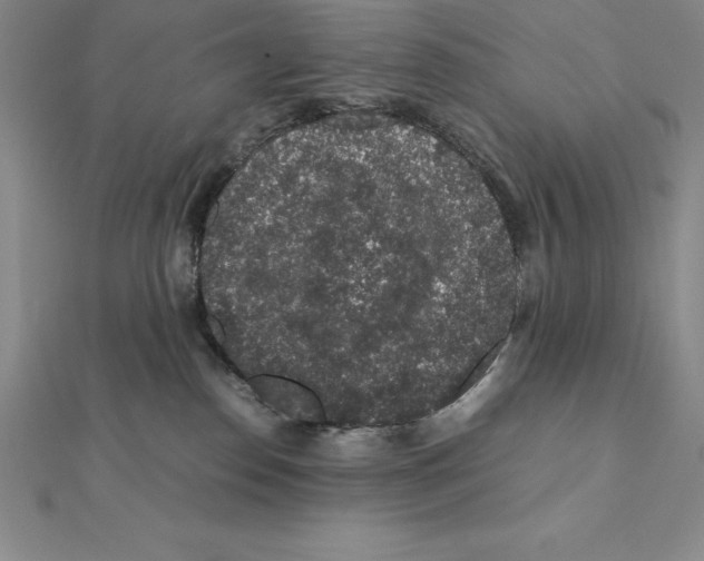 X0000112110186200909011153