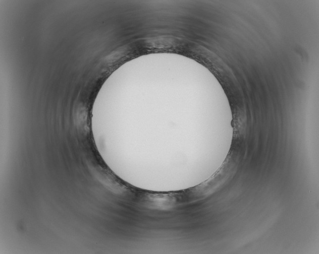 X0000112110187200909011153