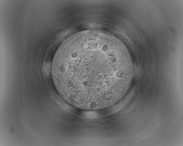 X0000112110189200909011153