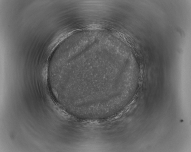 X0000112110194200909011152