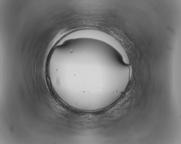 X0000112110195200909011152