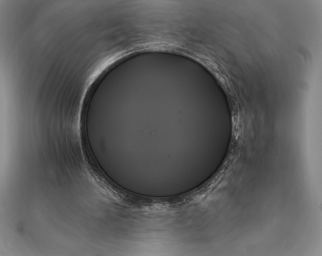 X0000112110196200909011152