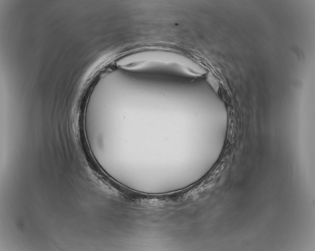 X0000112110197200909011152