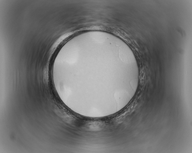 X0000112110200200909011152