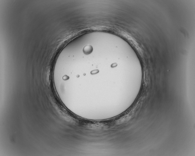 X0000112110201200909011152
