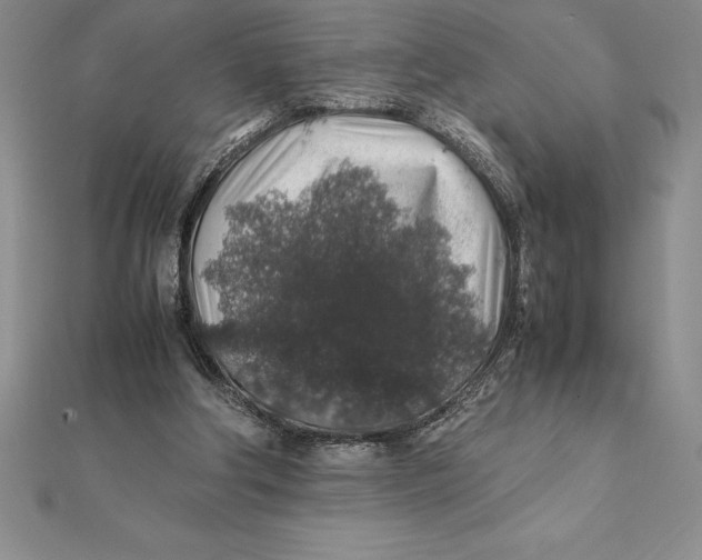 X0000112110202200909011152