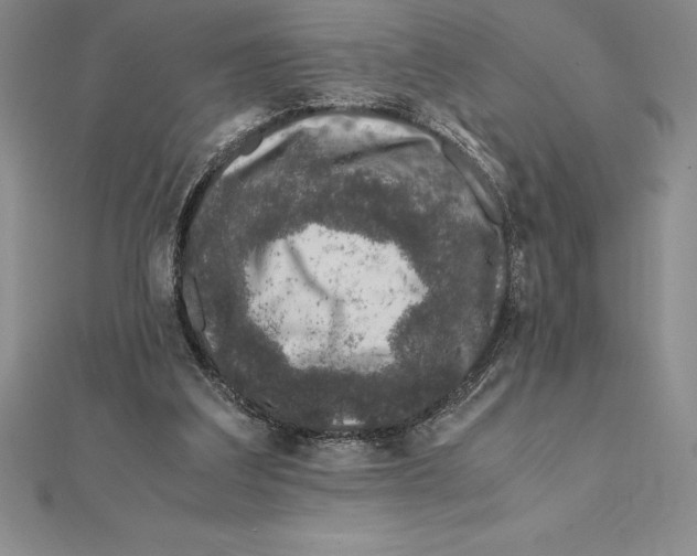 X0000112110203200909011152