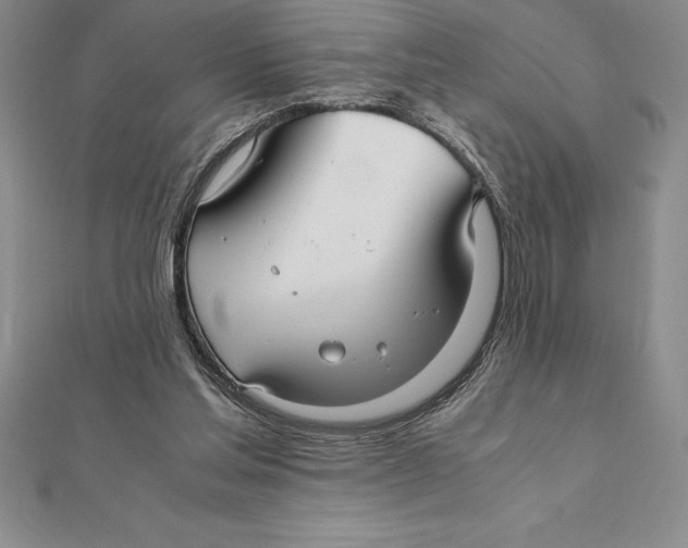 X0000112110205200909011152