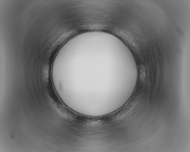 X0000112110206200909011152