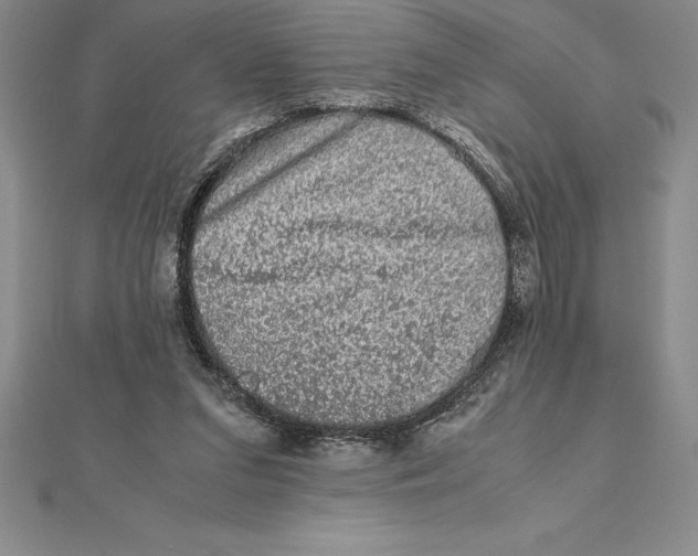 X0000112110207200909011152