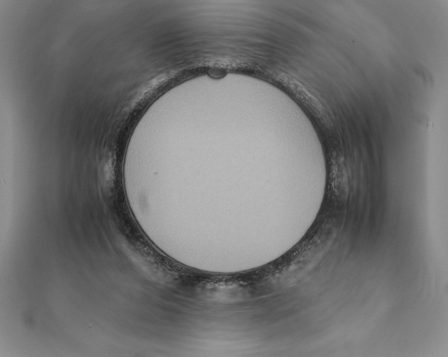 X0000112110208200909011152
