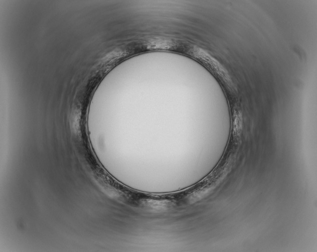X0000112110209200909011152