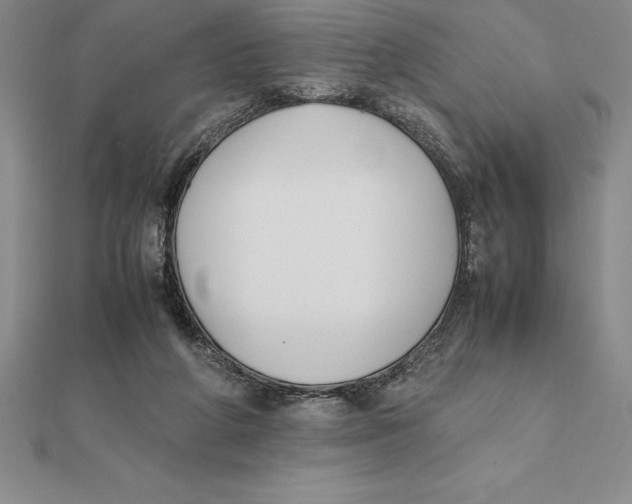 X0000112110210200909011152