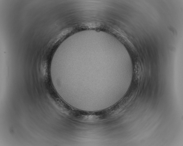 X0000112110212200909011152