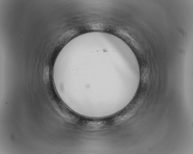 X0000112110213200909011152