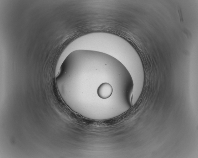 X0000112110215200909011152