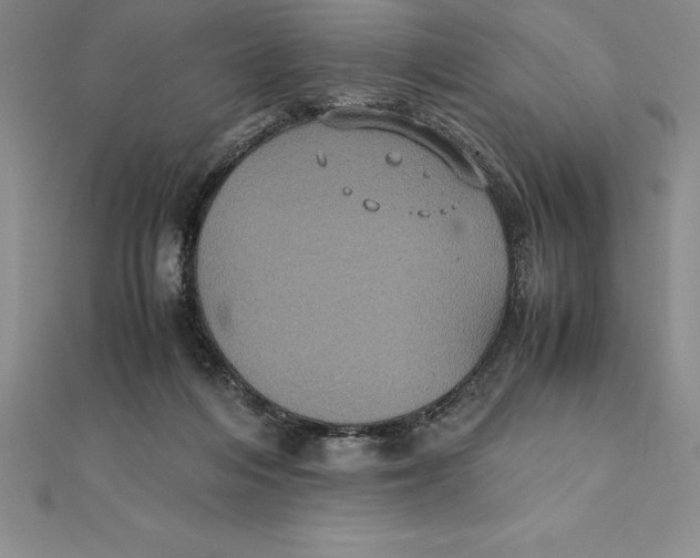 X0000112110216200909011152