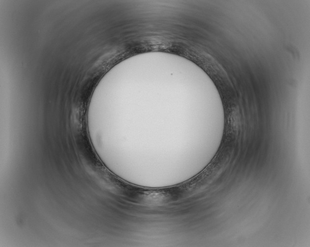 X0000112110218200909011152