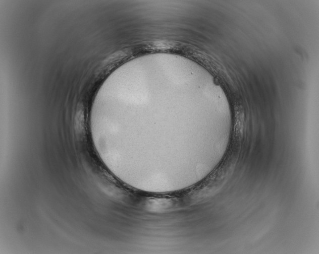 X0000112110220200909011152