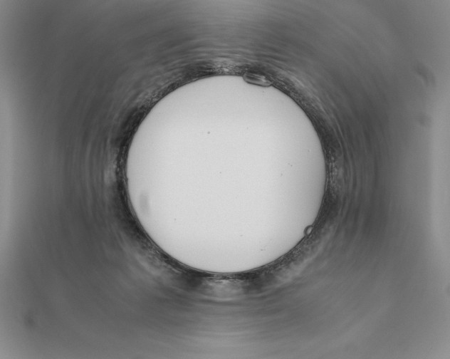 X0000112110221200909011152