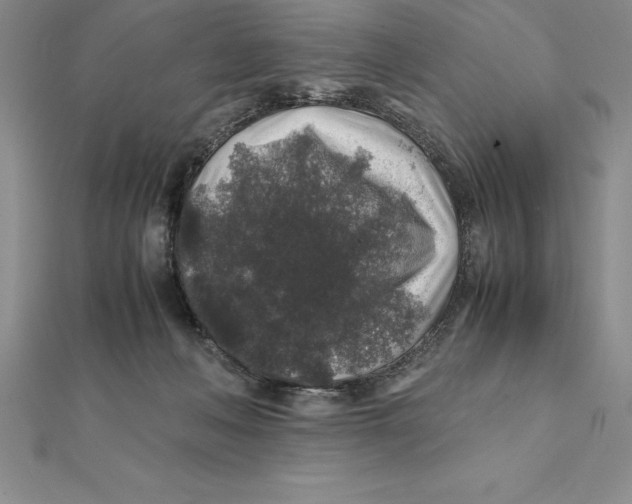 X0000112110222200909011152