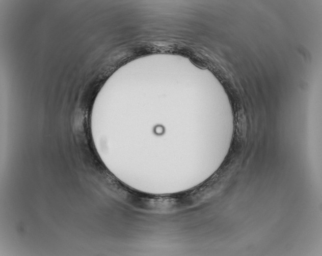 X0000112110225200909011152
