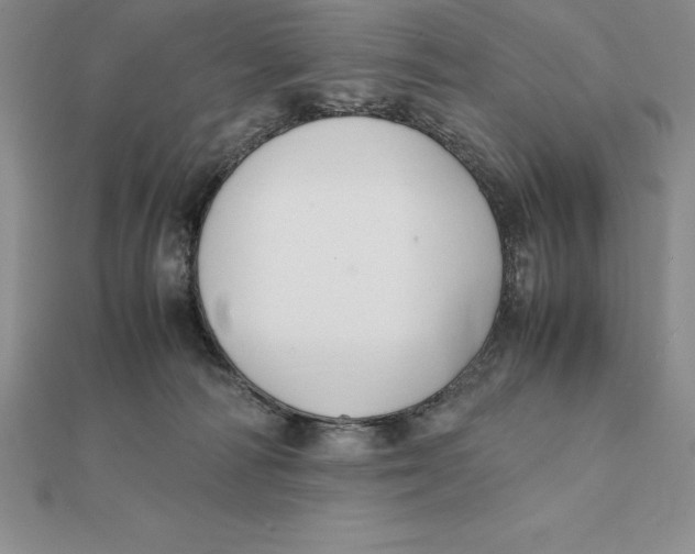 X0000112110226200909011152