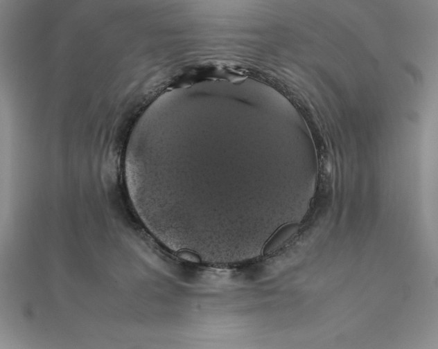 X0000112110227200909011152