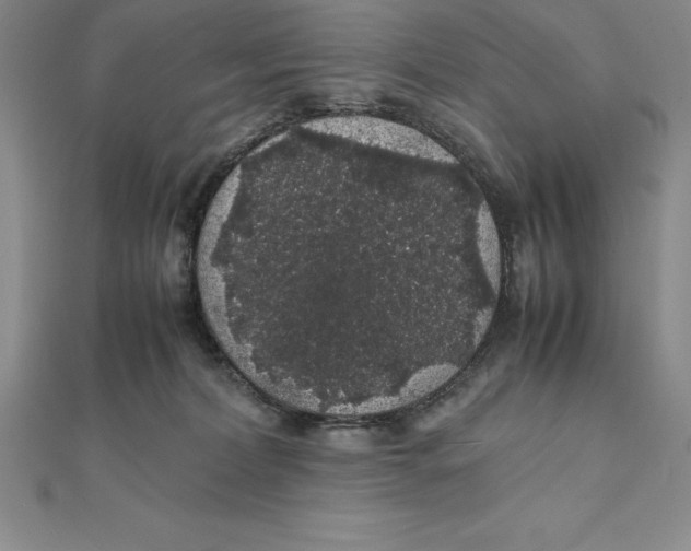 X0000112110228200909011152
