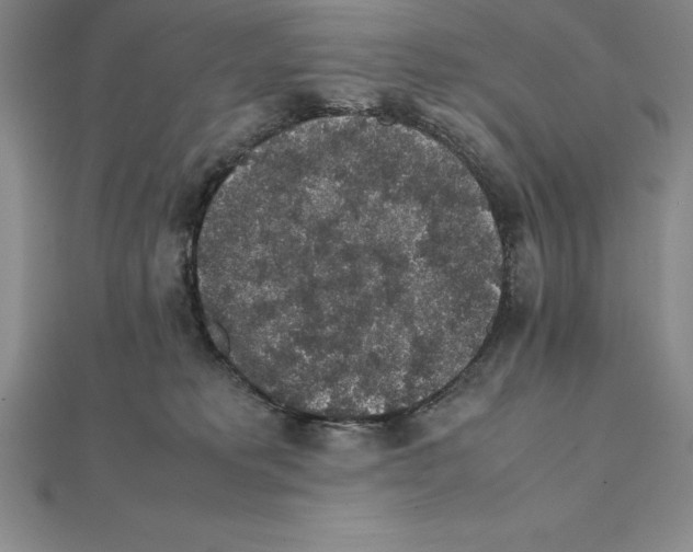 X0000112110229200909011152