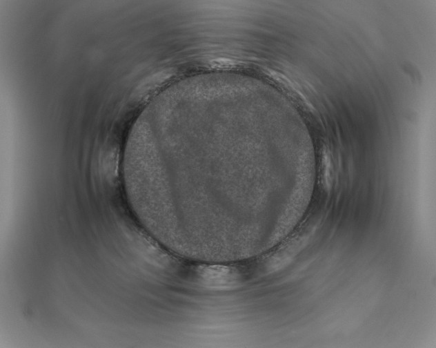 X0000112110230200909011152