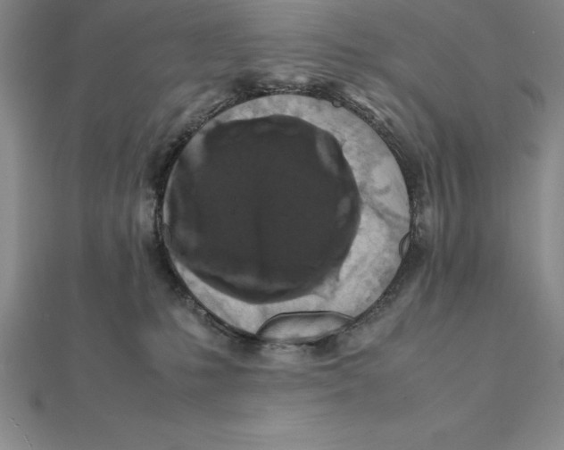 X0000112110231200909011152