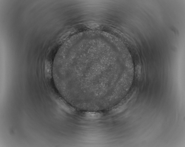 X0000112110234200909011152