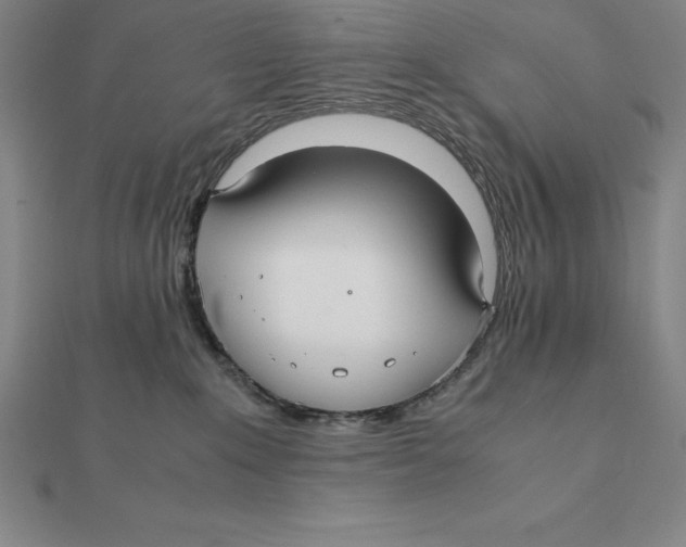 X0000112110235200909011152