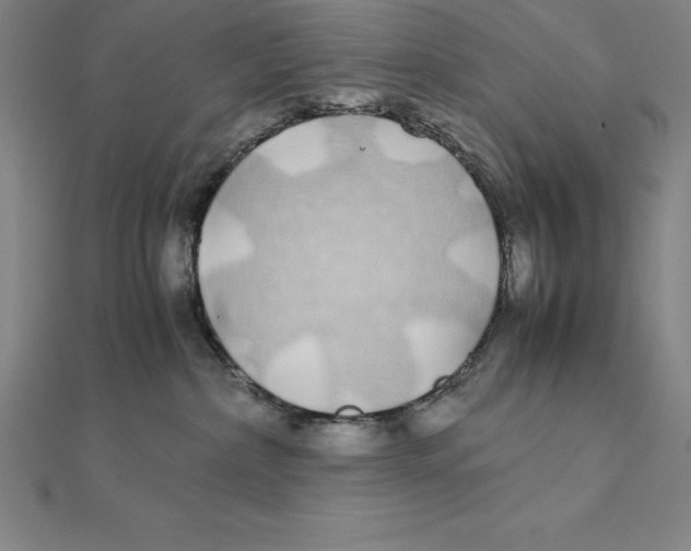 X0000112110236200909011152