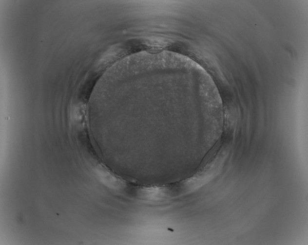 X0000112110237200909011152
