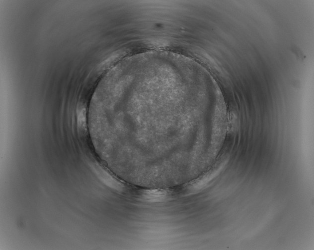 X0000112110238200909011152